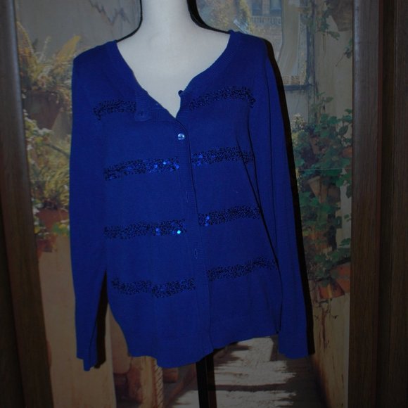 Christopher & Banks Sapphire Blue, Sequin Stripe Sweater - PXL - Picture 3 of 10